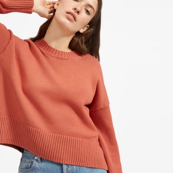 Everlane Knit Crewneck Sweater- Burnt Orange - Picture 2 of 9